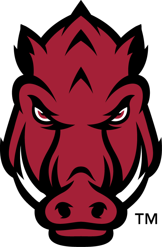 Arkansas Razorbacks 2014-Pres Secondary Logo 02 iron on paper